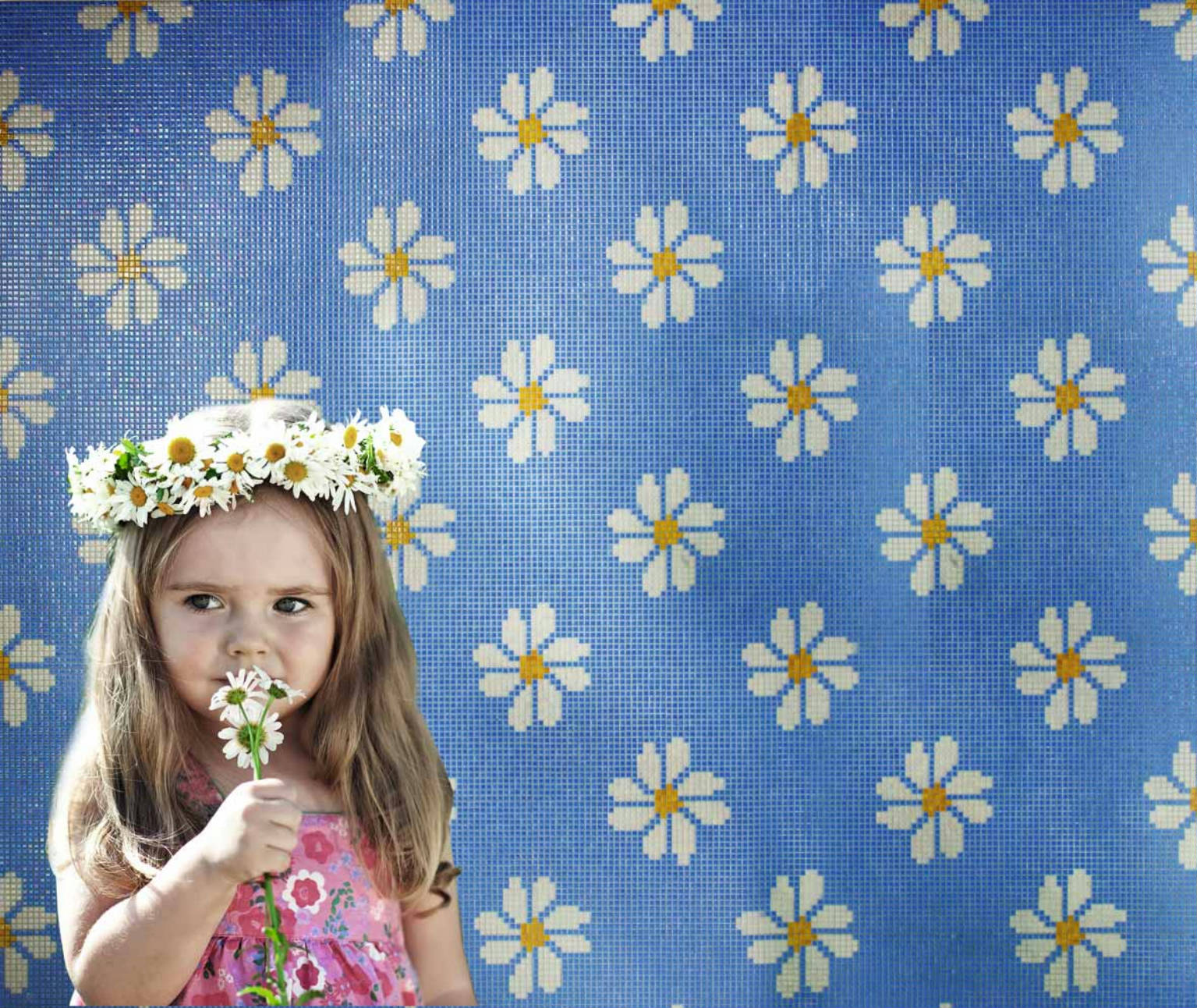 Nature Swiss Daisy 0 | Mosavit