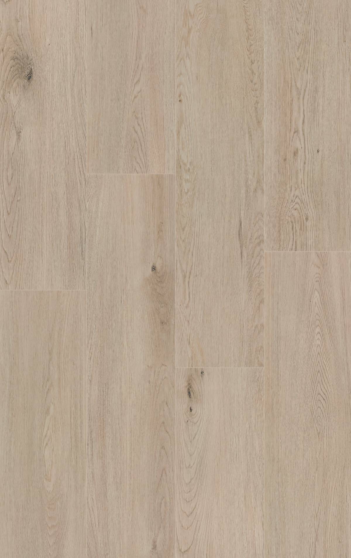 Vista del patrón continuo y la variación sutil de veta en el montaje de lamas del modelo Alarce Beige.