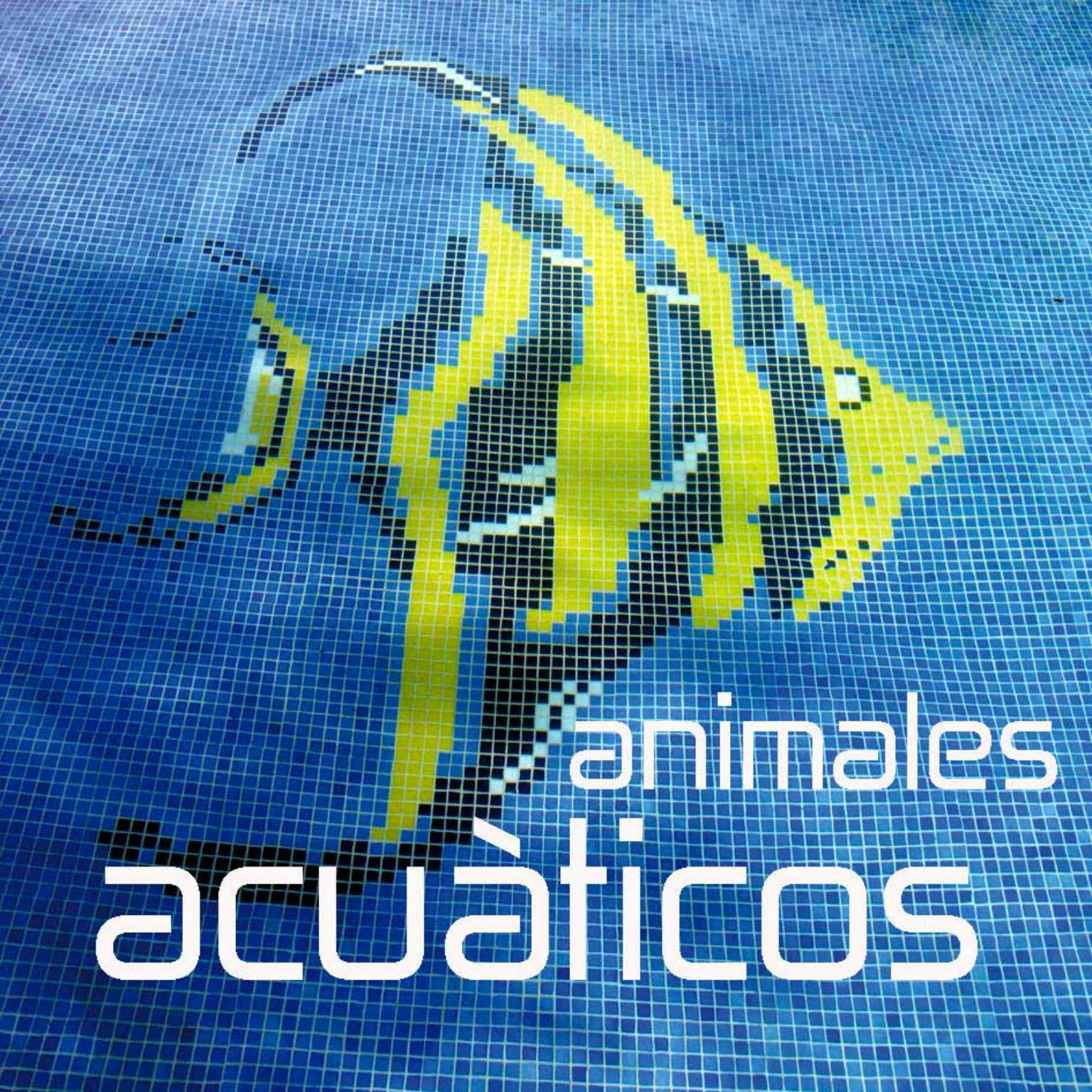 Decoración Animales Acuã_X0081_Ticos | Mosavit