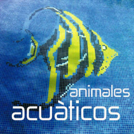 Decoración Animales Acuã_X0081_Ticos | Mosavit FR